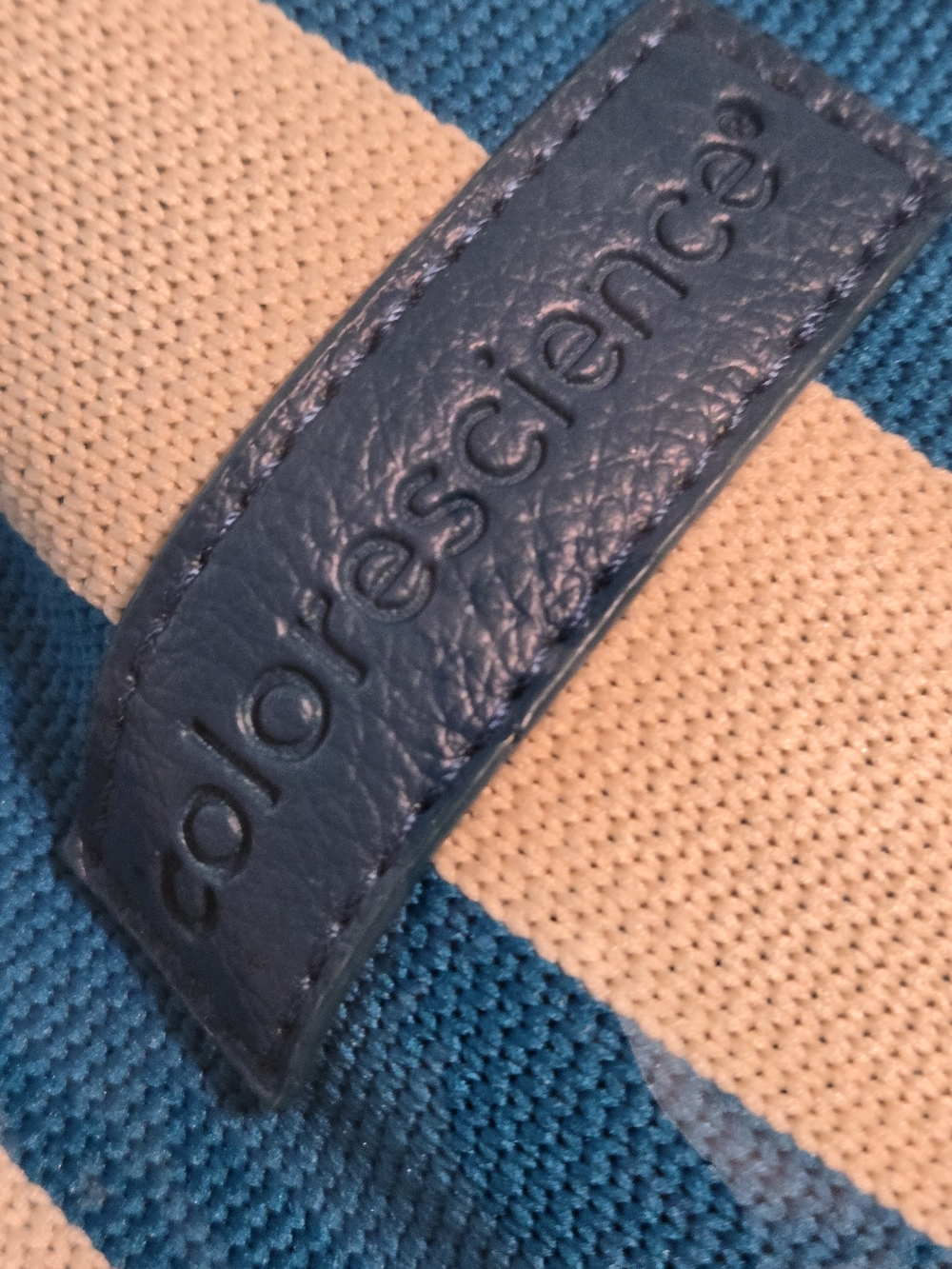 NWT Colorscience Blue Leather Accent Tote